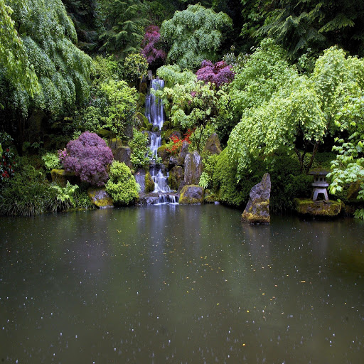 Hd-138219-ascw138219