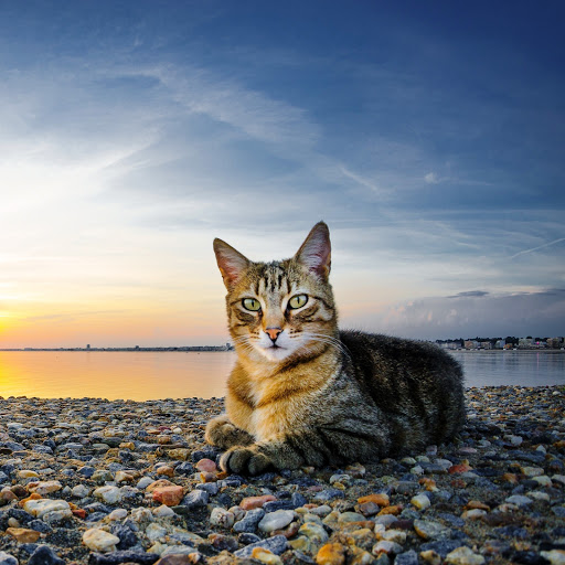 Hd-142746-ascw142746