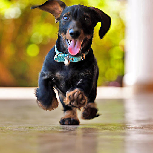 Hd-160461-ascw160461