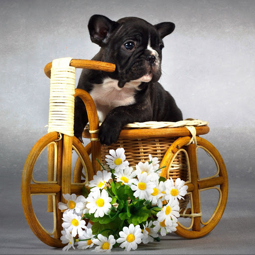 Hd-142141-ascw142141