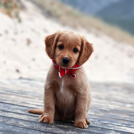 Hd-132385-ascw132385