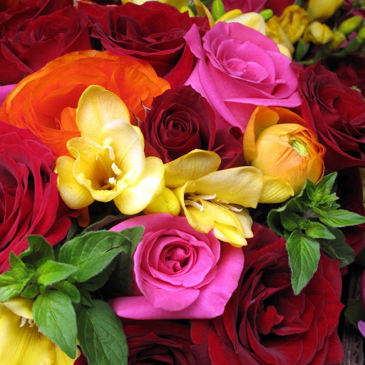 Hd-172656-ascw172656