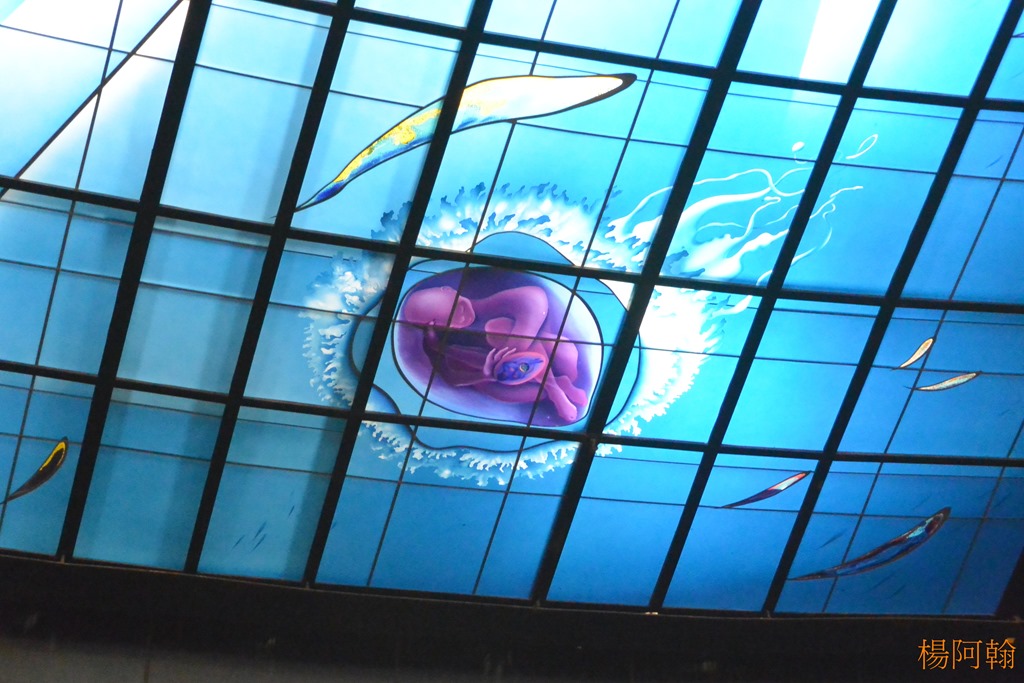 [0103-435-----5.jpg]