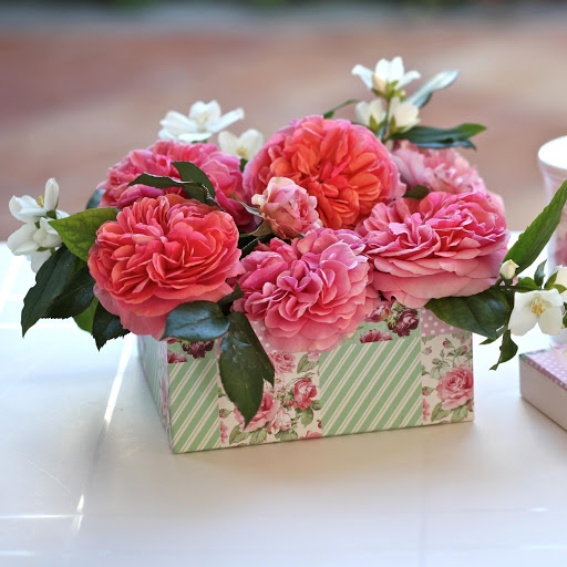 Hd-162031-ascw162031