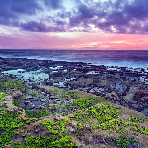 Hd-183100-ascw183100