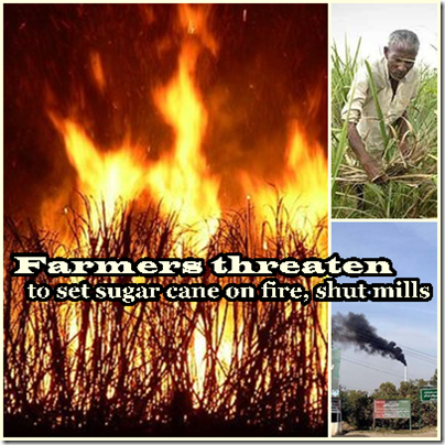 Farmers threaten to set sugar cane on fire, shut mills : agrinfobank.com