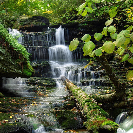 Hd-174501-ascw174501