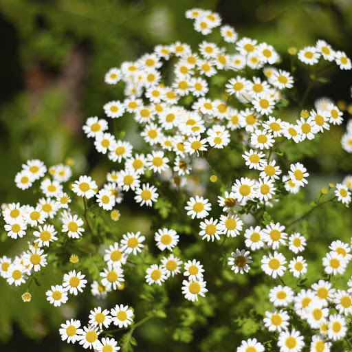 Hd-141758-ascw141758