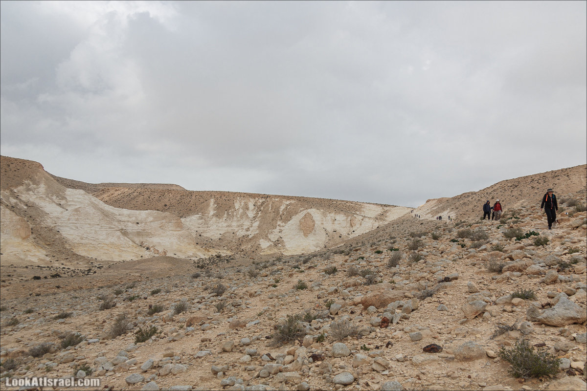 Лунные пейзажи пустыни Негев | Lunar landscapes of the Negev | LookAtIsrael.com - Фото путешествия по Израилю