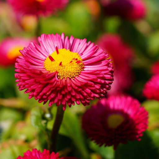 Hd-157115-ascw157115