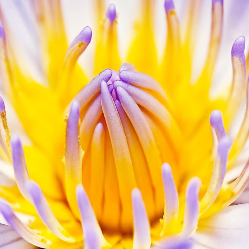 Hd-169371-ascw169371