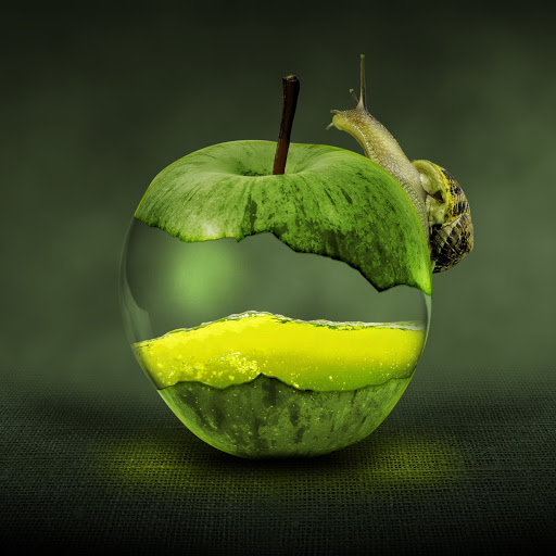 Hd-185819-ascw185819