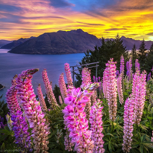 Hd-149136-ascw149136