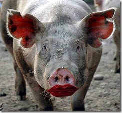 pig red lipstick