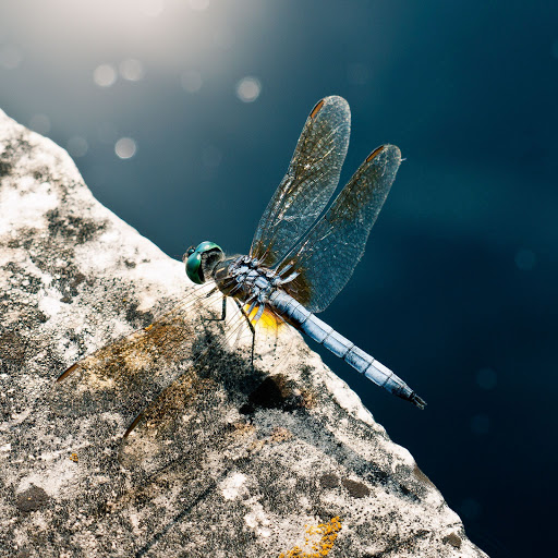 Hd-157156-ascw157156