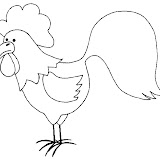 coq22.jpg