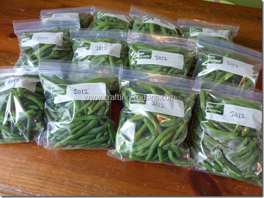 blanch and freeze green beans (52)