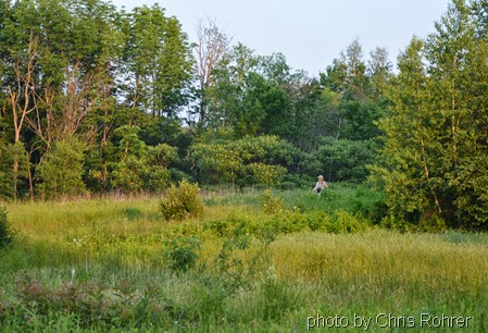 20. 6-30-14 Foothills Land Conservancy by CRohrer
