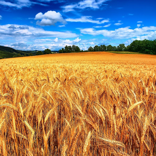 Hd-145601-ascw145601