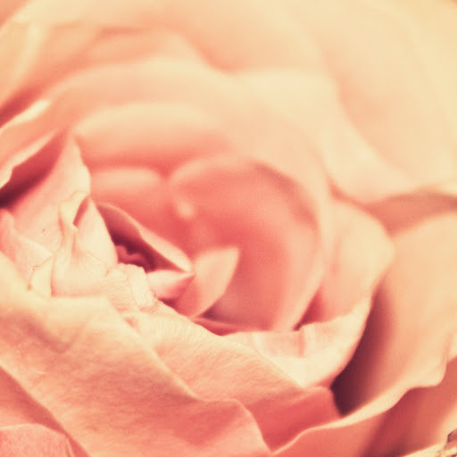 Hd-136448-ascw136448