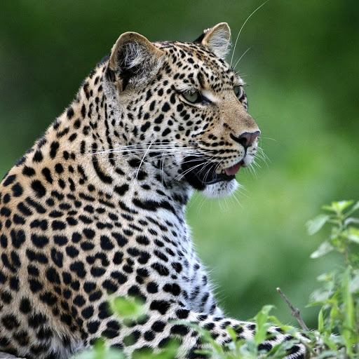 Hd-142366-ascw142366