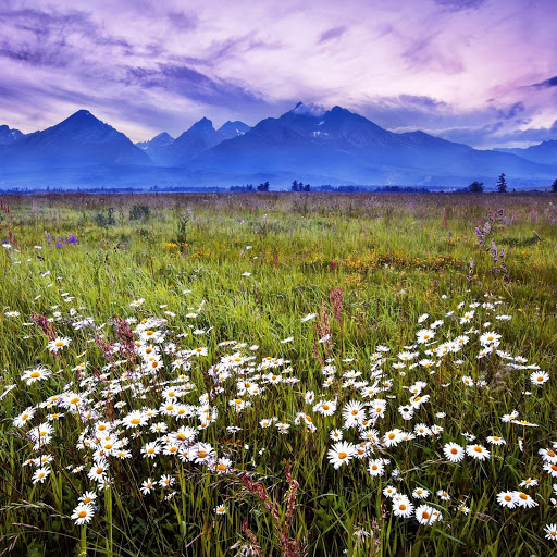 Hd-142668-ascw142668