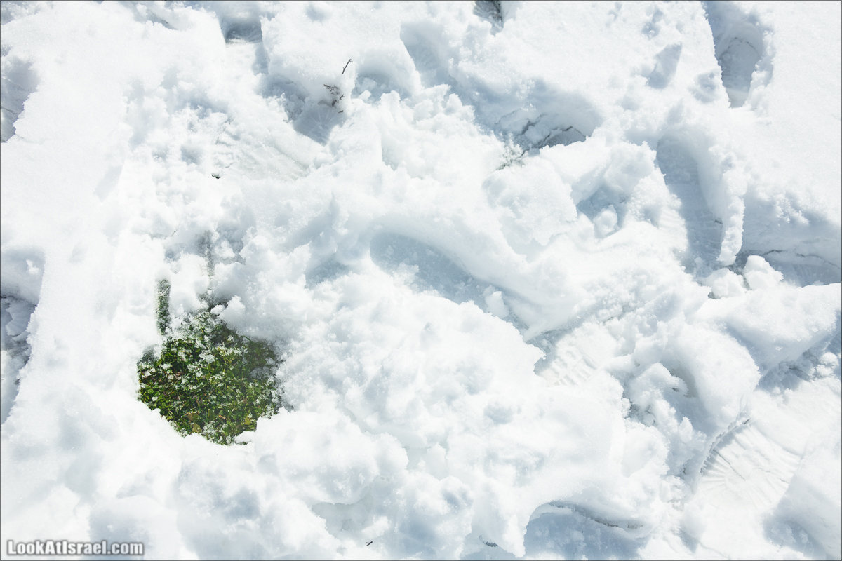 LookAtIsrael.com | Снег в Израиле, Голанские высоты и Галилея | Snow in Israel, Golan Heights and Galilee | שלג בישראל, רמת הגולן וגליל