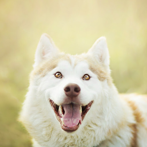 Hd-174821-ascw174821