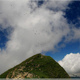 auf dem Brienzer Rothorn