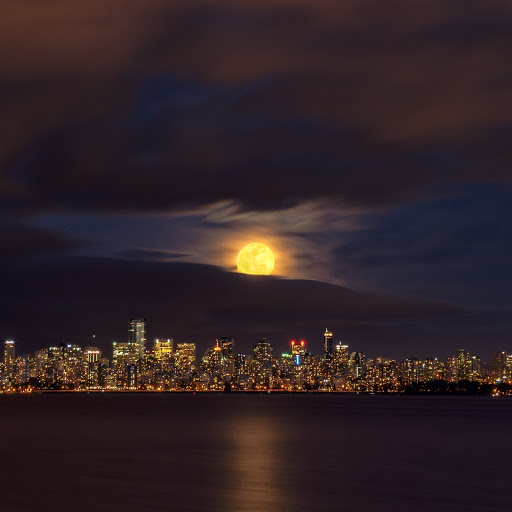 Hd-170485-ascw170485