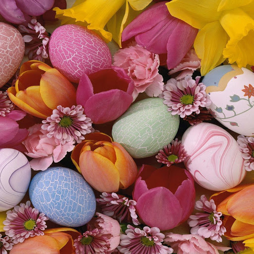 Hd-137782-ascw137782