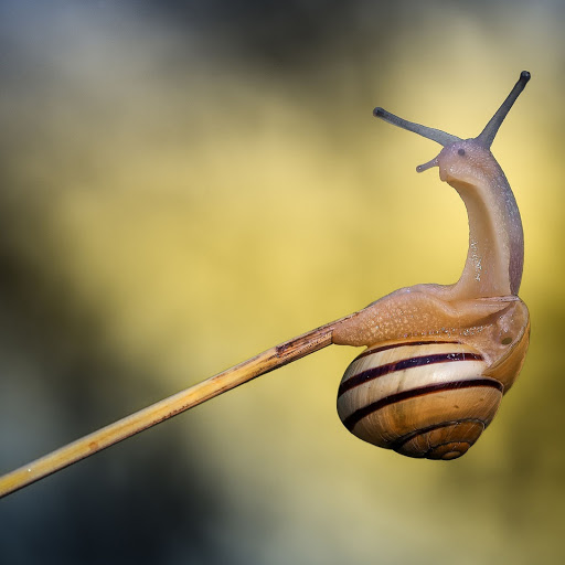 Hd-141880-ascw141880