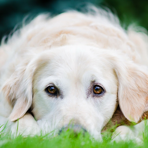 Hd-172847-ascw172847