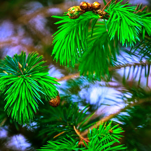 Hd-148673-ascw148673