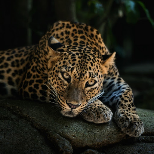 Hd-182608-ascw182608