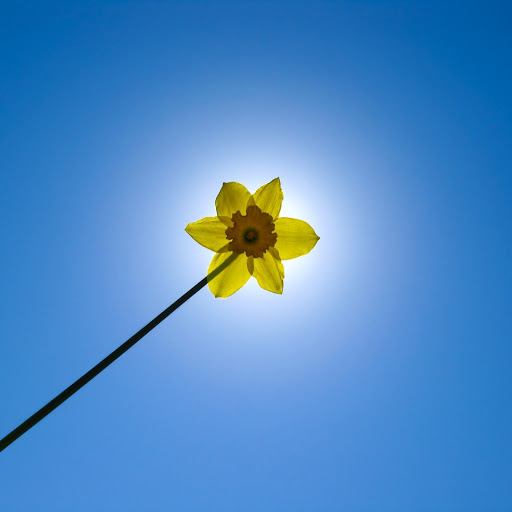 Hd-162567-ascw162567