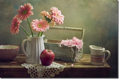 still-life-with-pink-gerberas-and-red-apple-copyright-anna-nemoyxaomena