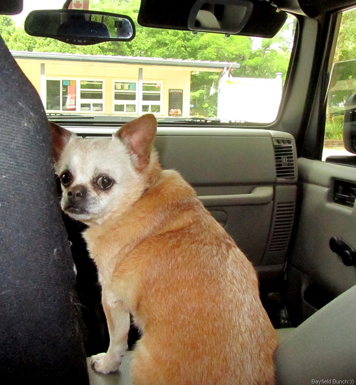 [IMG_0573%255B3%255D.jpg]