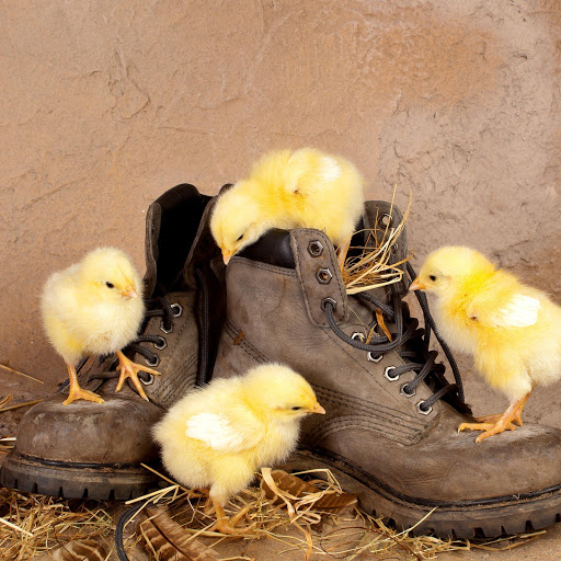 Hd-145252-ascw145252