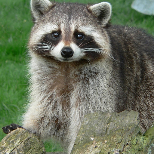 Hd-170413-ascw170413