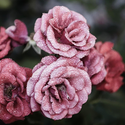 Hd-180548-ascw180548