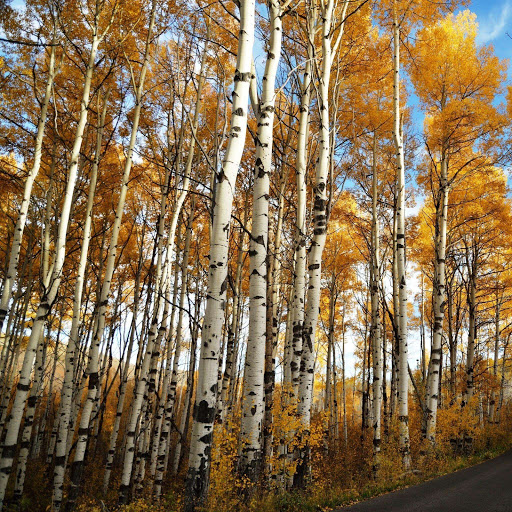 Hd-148362-ascw148362