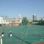 baseball in tokyo in Tokyo, Japan 