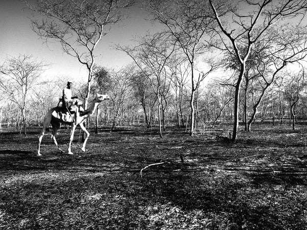 [clip_image011%255B2%255D.jpg]