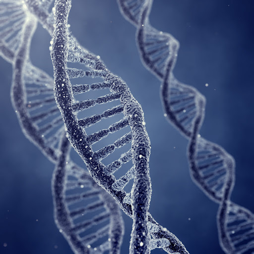 Hd-149559-ascw149559