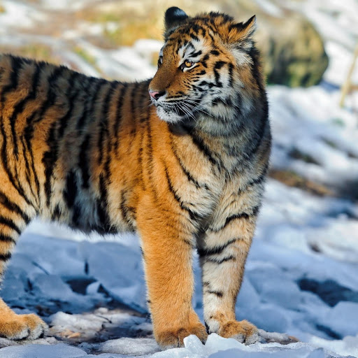 Hd-134699-ascw134699