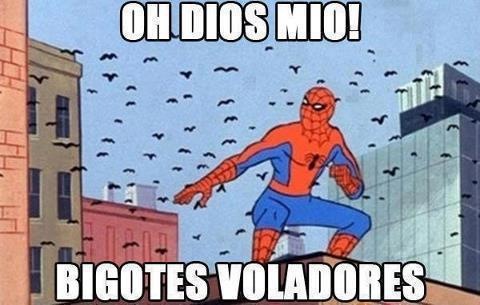 [el%2520ataque%2520de%2520los%2520igotes%2520voladores%2520contra%2520spiderman%2520jajaja%2520cartel%2520gracioso%255B3%255D.jpg]