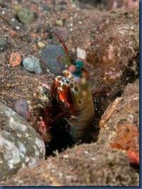 IMG_6307 IMG_6307