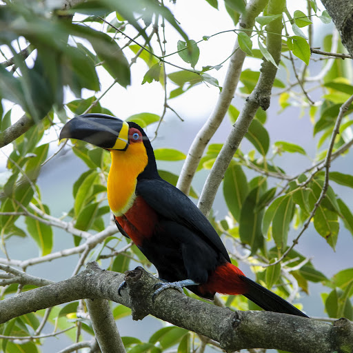 Hd-178184-ascw178184