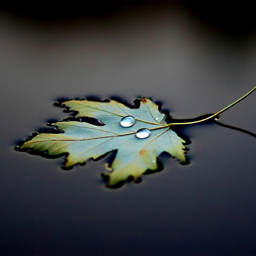 Hd-182771-ascw182771